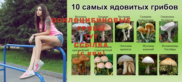 МДМА Белокуриха