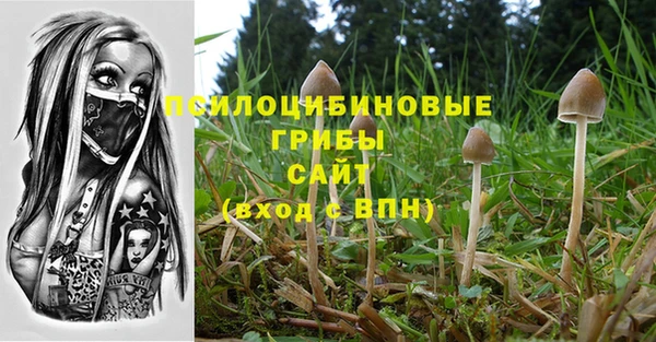 МДМА Белокуриха
